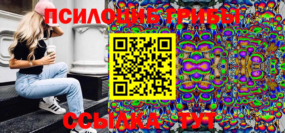 Россия  Галлюциногенные грибы Psilocybe  Галлюциногенные грибы Cubensis  Вход с VPN 