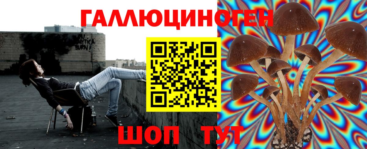 Галлюциногенные грибы ЛСД Россия